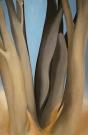 Georgia O'Keeffe Tronchi di legno scuro 1946